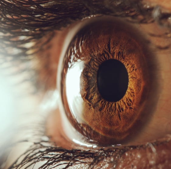 - Alabata Eye Center Yag Laser Capsulotomy Crestview & Okaloosa County